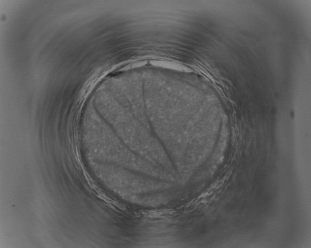 X0000067890241200605111858