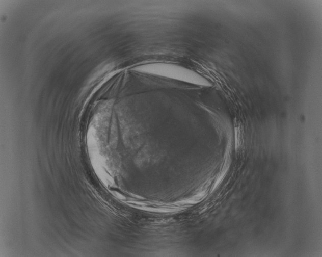 X0000067890243200605111858