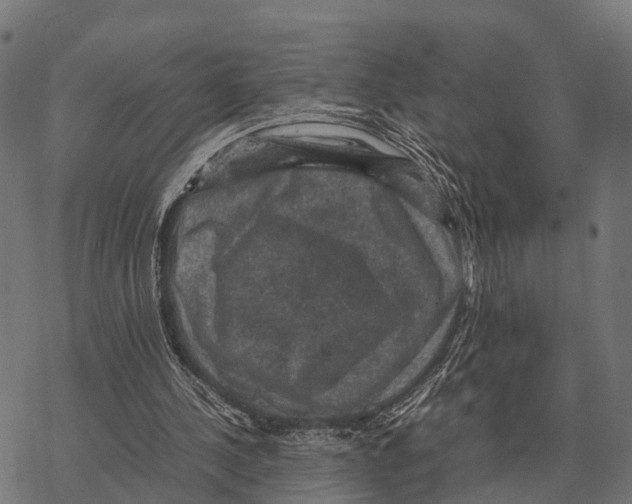 X0000067890244200605111858