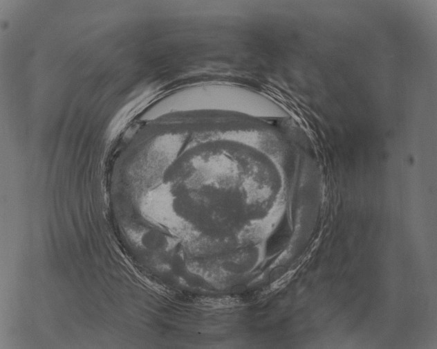 X0000067890245200605111858