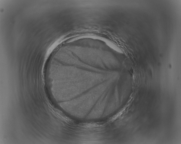 X0000067890246200605111858