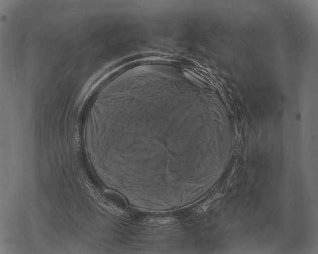 X0000067890247200605111858