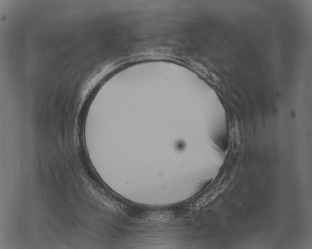 X0000067890248200605111858