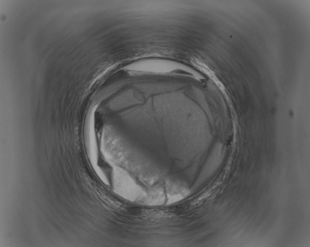 X0000067890249200605111858