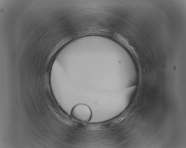 X0000067890250200605111858