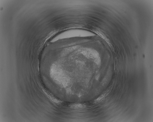 X0000067890253200605111858