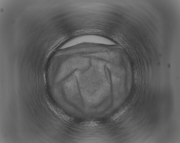 X0000067890254200605111858