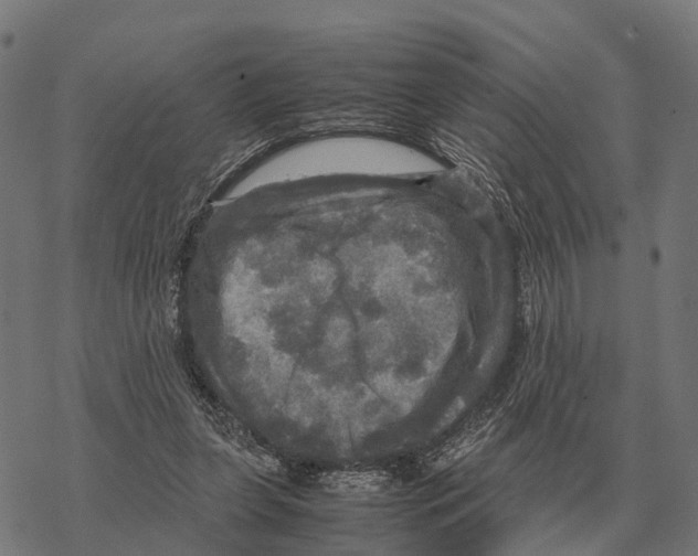 X0000067890255200605111858