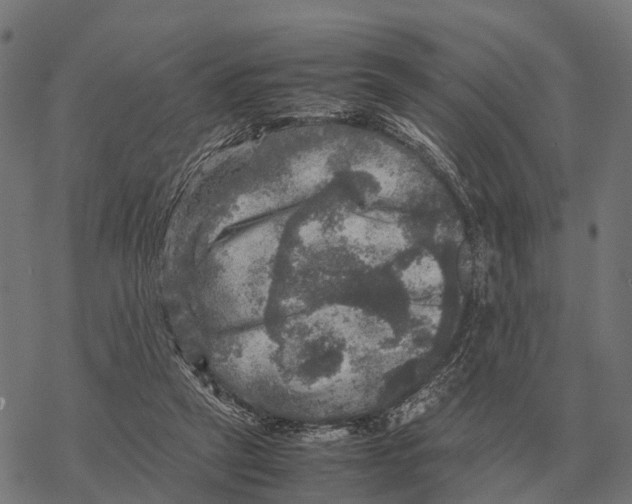 X0000067890257200605111858