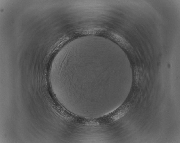 X0000067890258200605111858