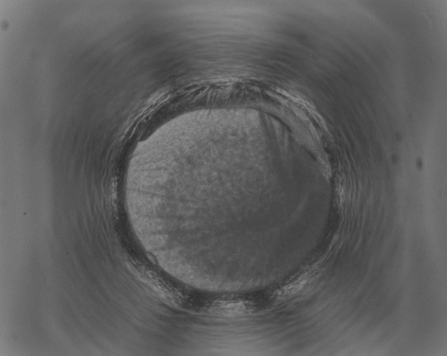 X0000067890260200605111858