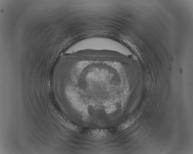 X0000067890261200605111858