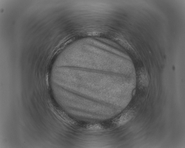 X0000067890262200605111858