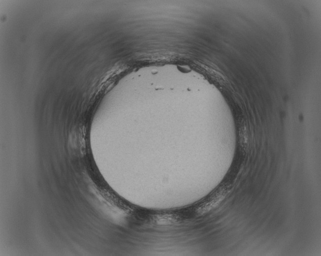 X0000067890264200605111858