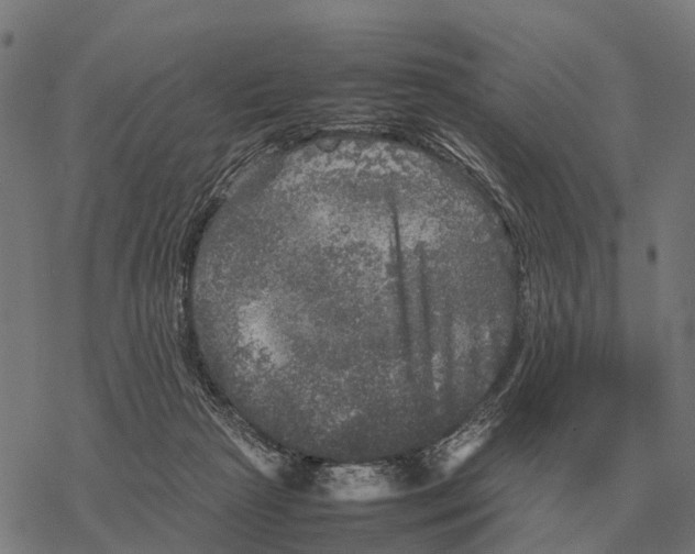 X0000067890265200605111858