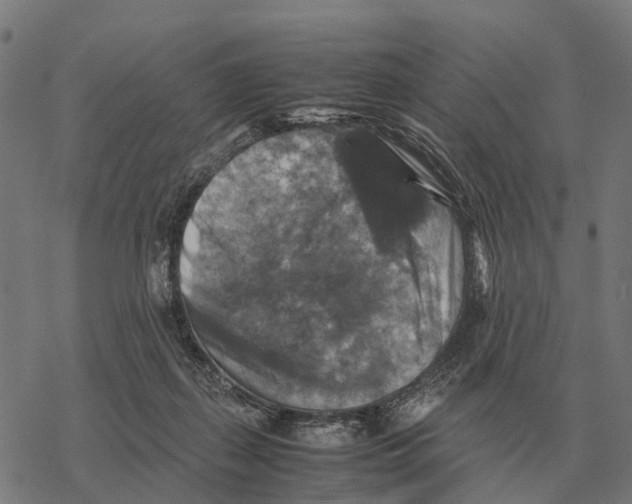 X0000067890267200605111858