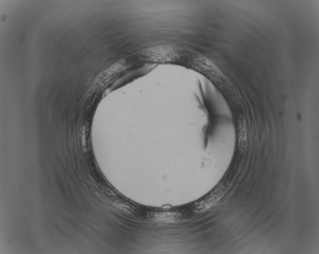 X0000067890268200605111858