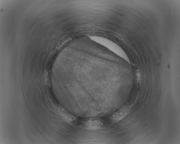 X0000067890270200605111858