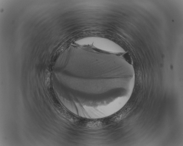 X0000067890271200605111858