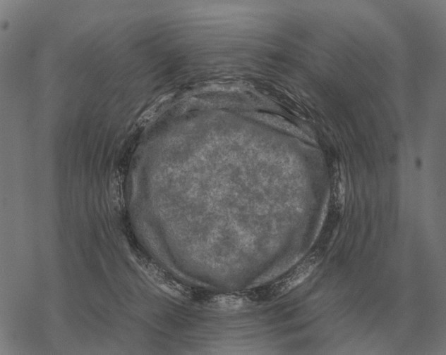 X0000067890272200605111858