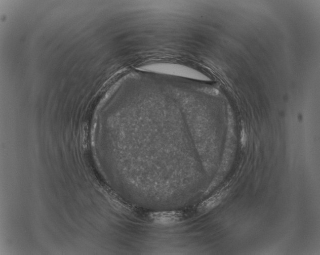 X0000067890273200605111858