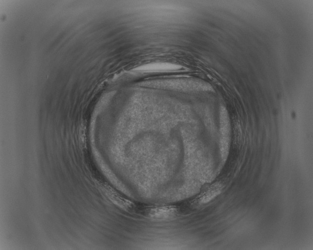 X0000067890274200605111858