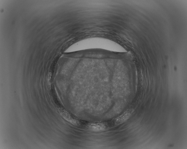 X0000067890275200605111858