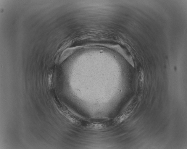 X0000067890276200605111858