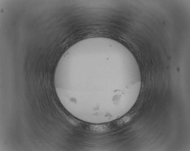 X0000067890277200605111858