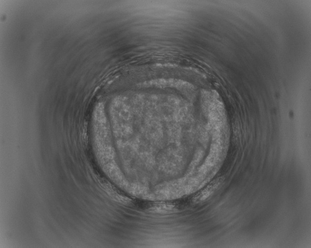 X0000067890278200605111859