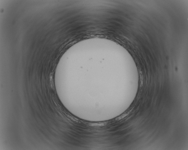 X0000067890279200605111859