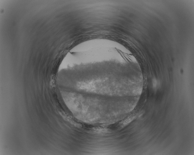 X0000067890284200605111859