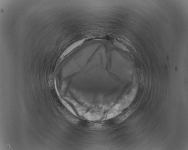 X0000067890285200605111859