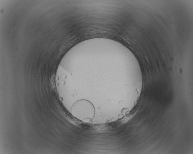 X0000067890286200605111859