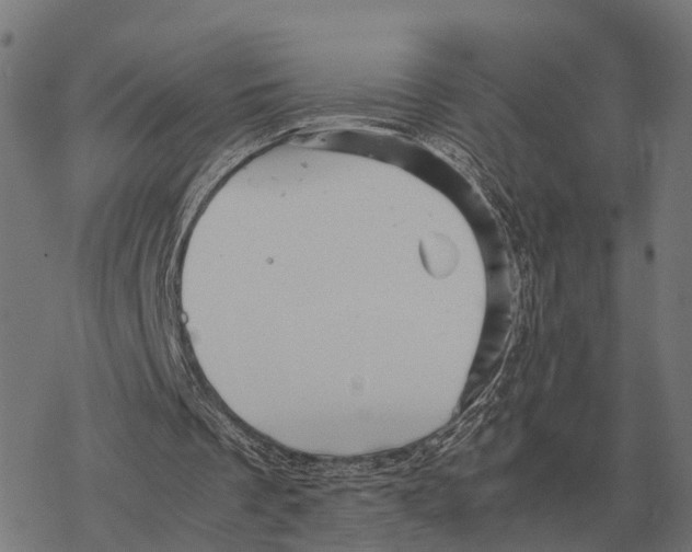 X0000067890289200605111858