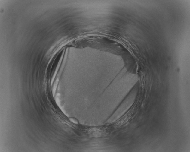 X0000067890290200605111858