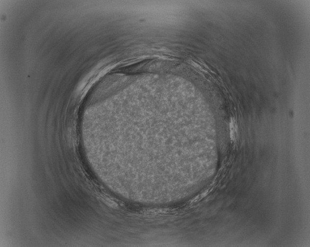 X0000067890291200605111858