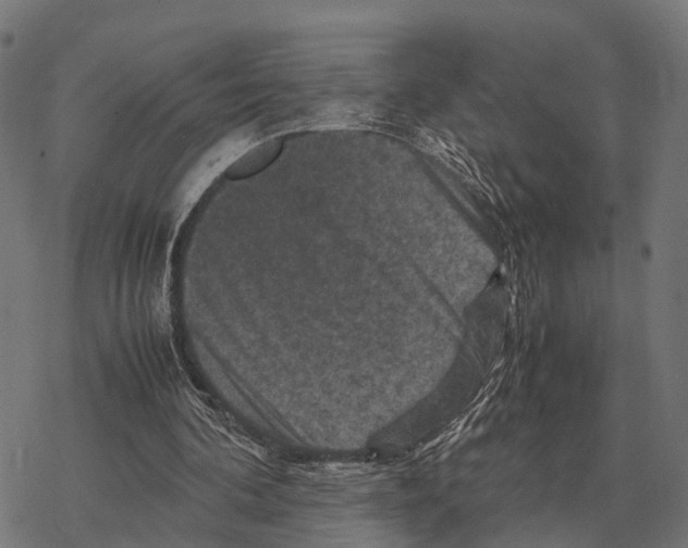 X0000067890292200605111858