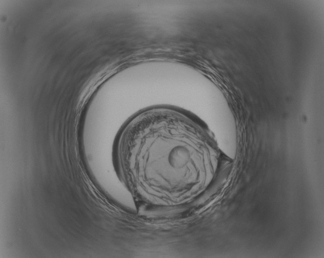 X0000067890293200605111858