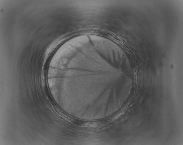 X0000067890294200605111858