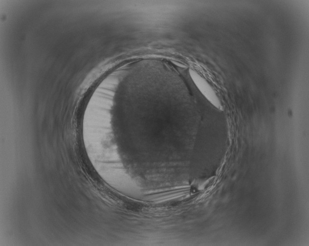 X0000067890295200605111858