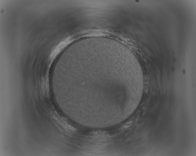 X0000067890296200605111858