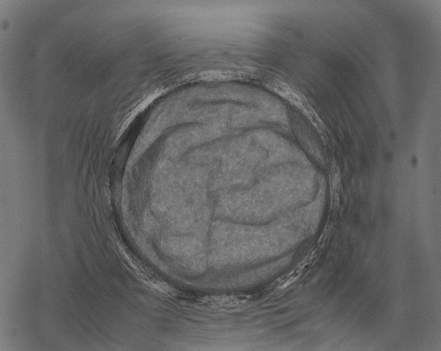 X0000067890297200605111858