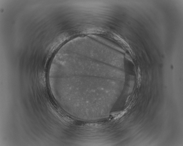 X0000067890298200605111858