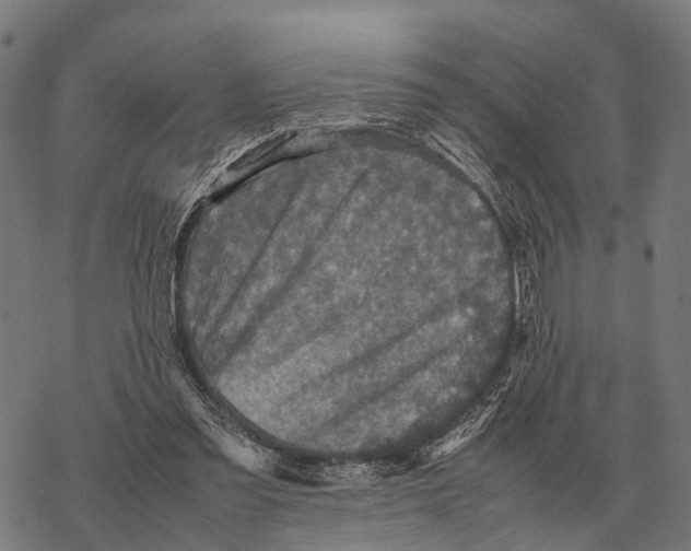 X0000067890301200605111858