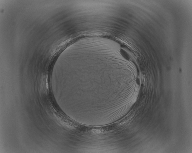 X0000067890302200605111858