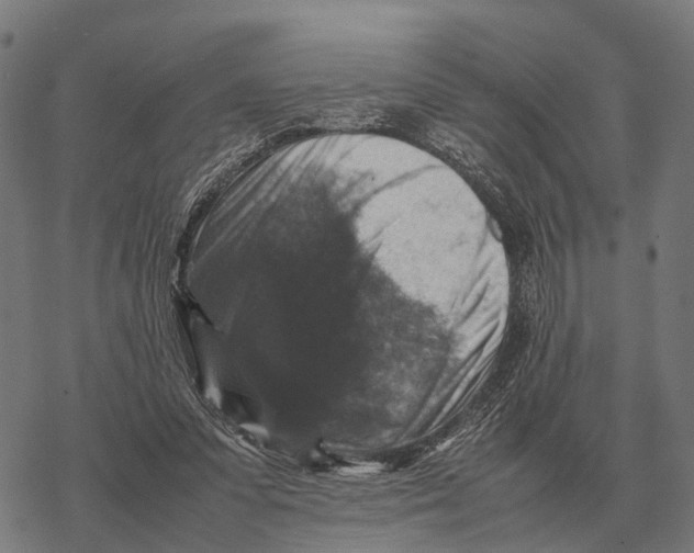 X0000067890303200605111858