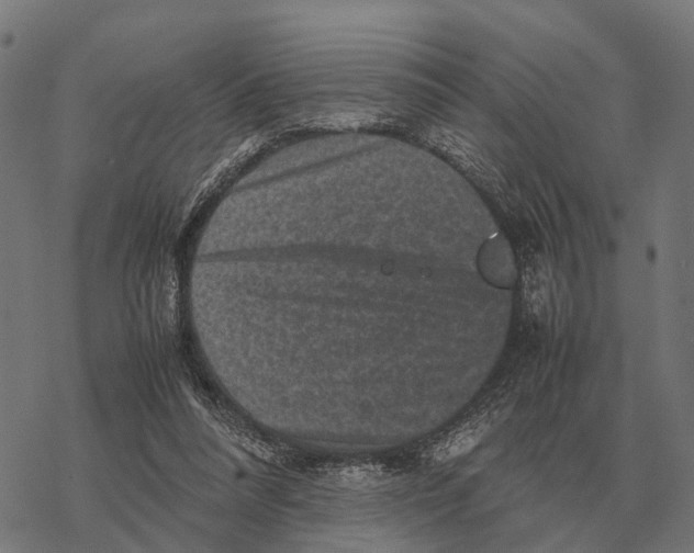 X0000067890304200605111858