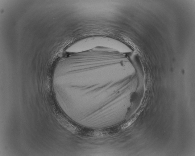 X0000067890305200605111858