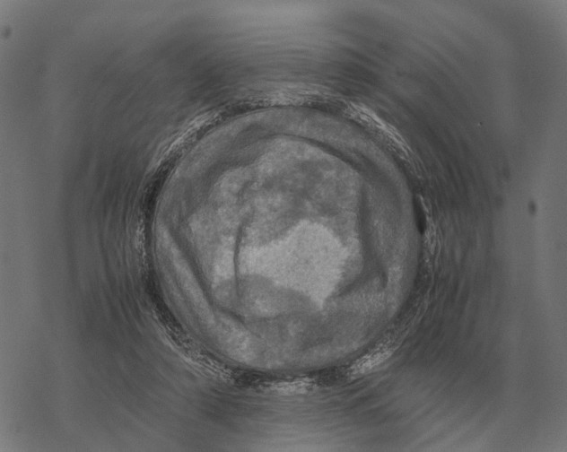 X0000067890306200605111858